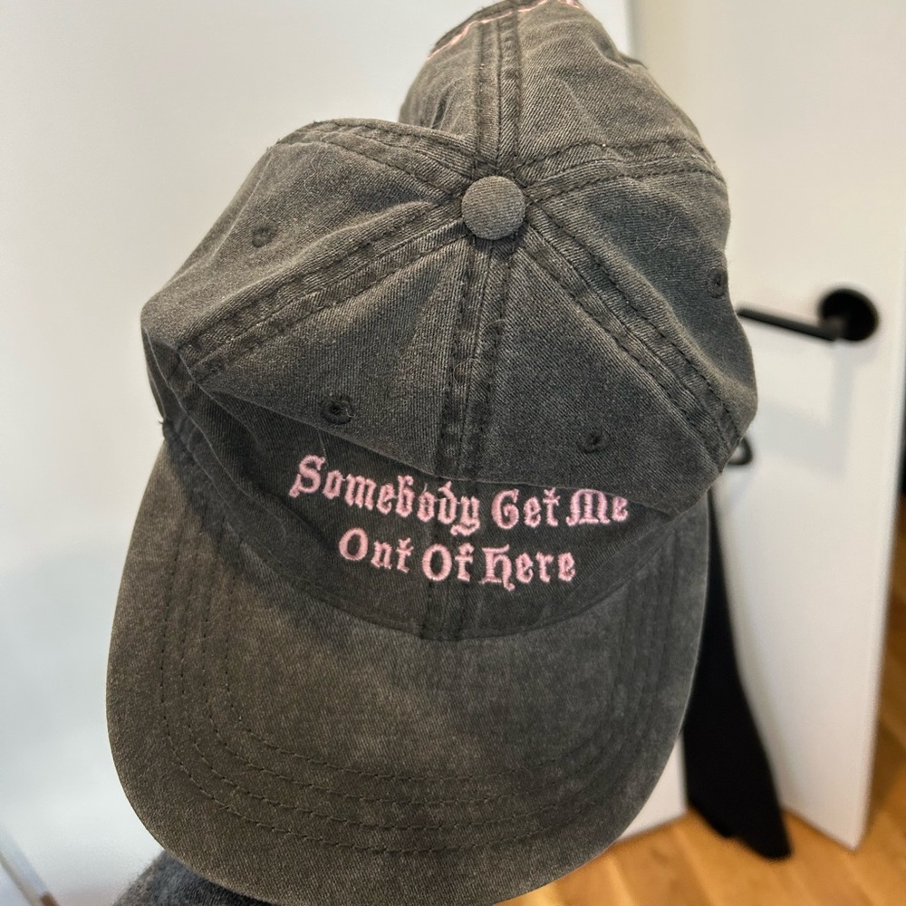 Liza Anne merch cap EUC